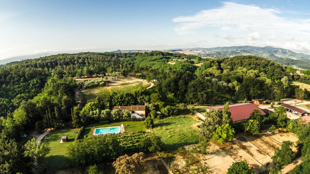 Maison d'hôtes Fioralice à Fauglia Chambre photo