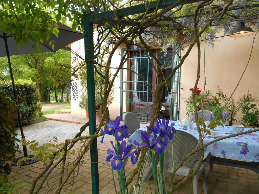 Maison d'hôtes Fioralice à Fauglia Extérieur photo