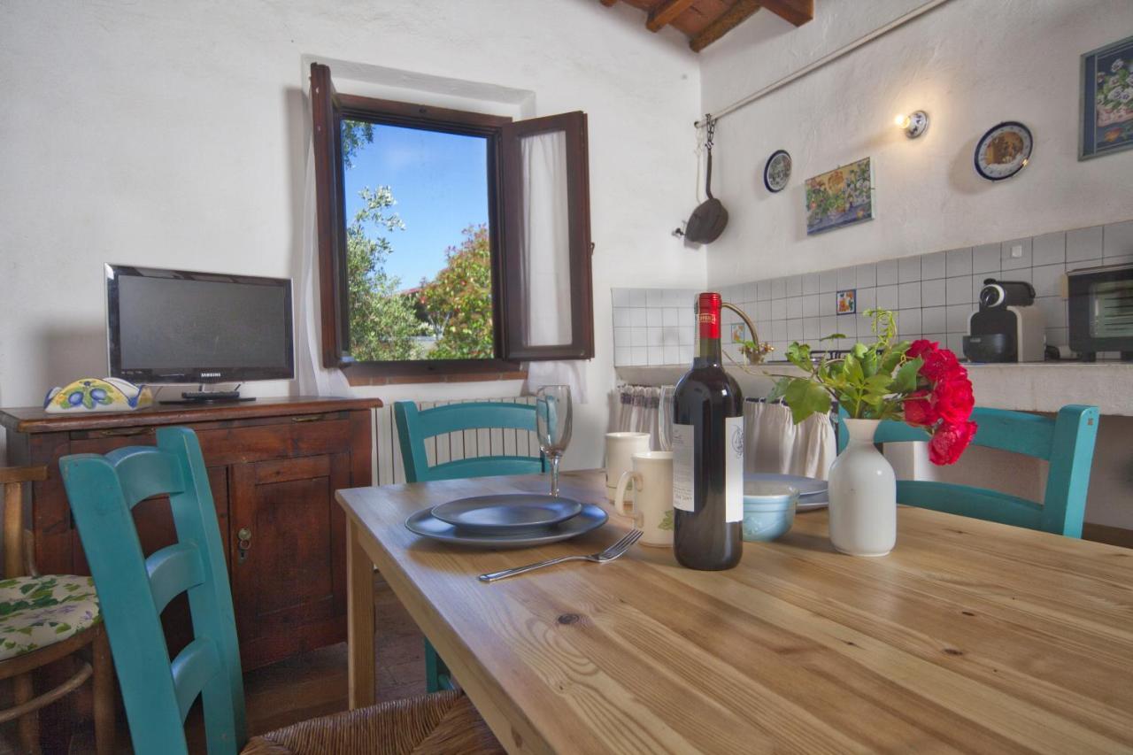 Maison d'hôtes Fioralice à Fauglia Extérieur photo
